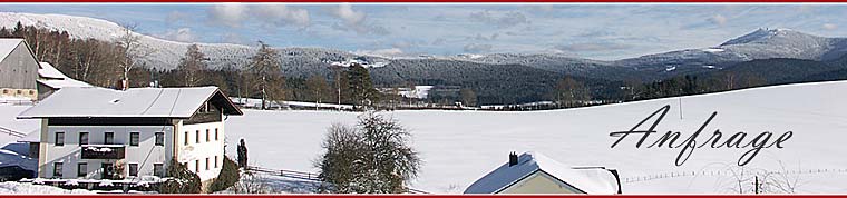 Anfrage an Ferienwohnungen am Arber in Lohberg Bayerischer Wald